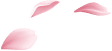 Petals Image
